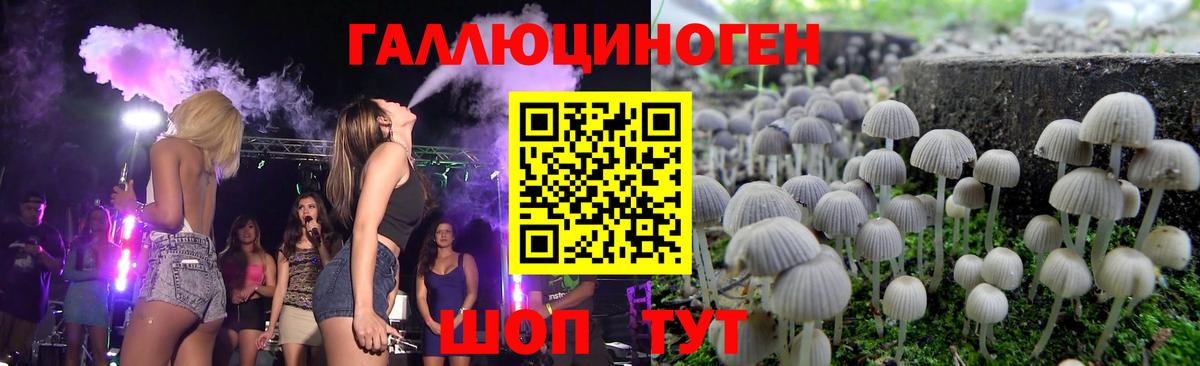 Галлюциногенные грибы MAGIC MUSHROOMS Выборг